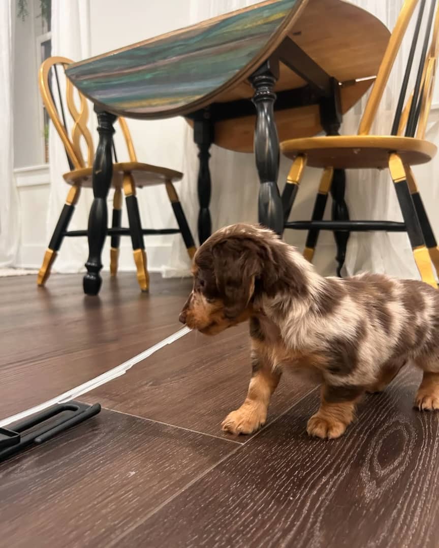 WhatsApp Image 2026-03-20 at 12.39.02 PM