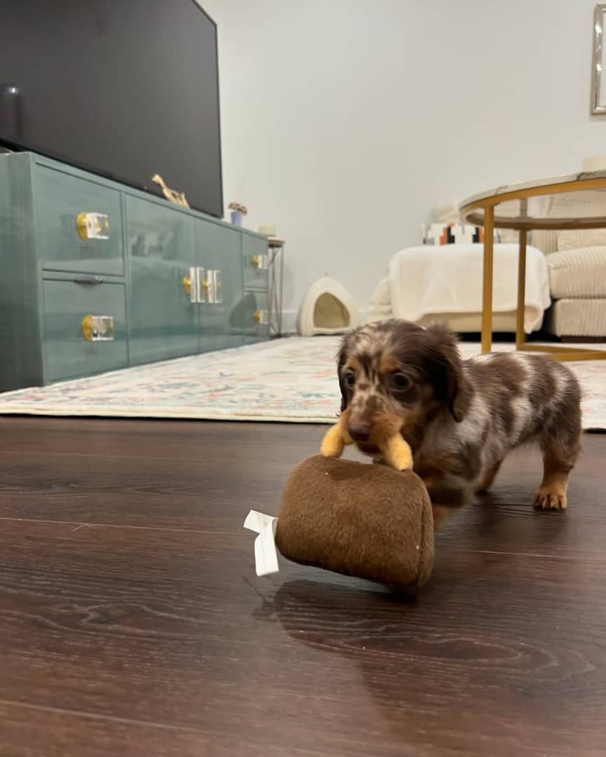 WhatsApp Image 2026-03-20 at 12.39.04 PM