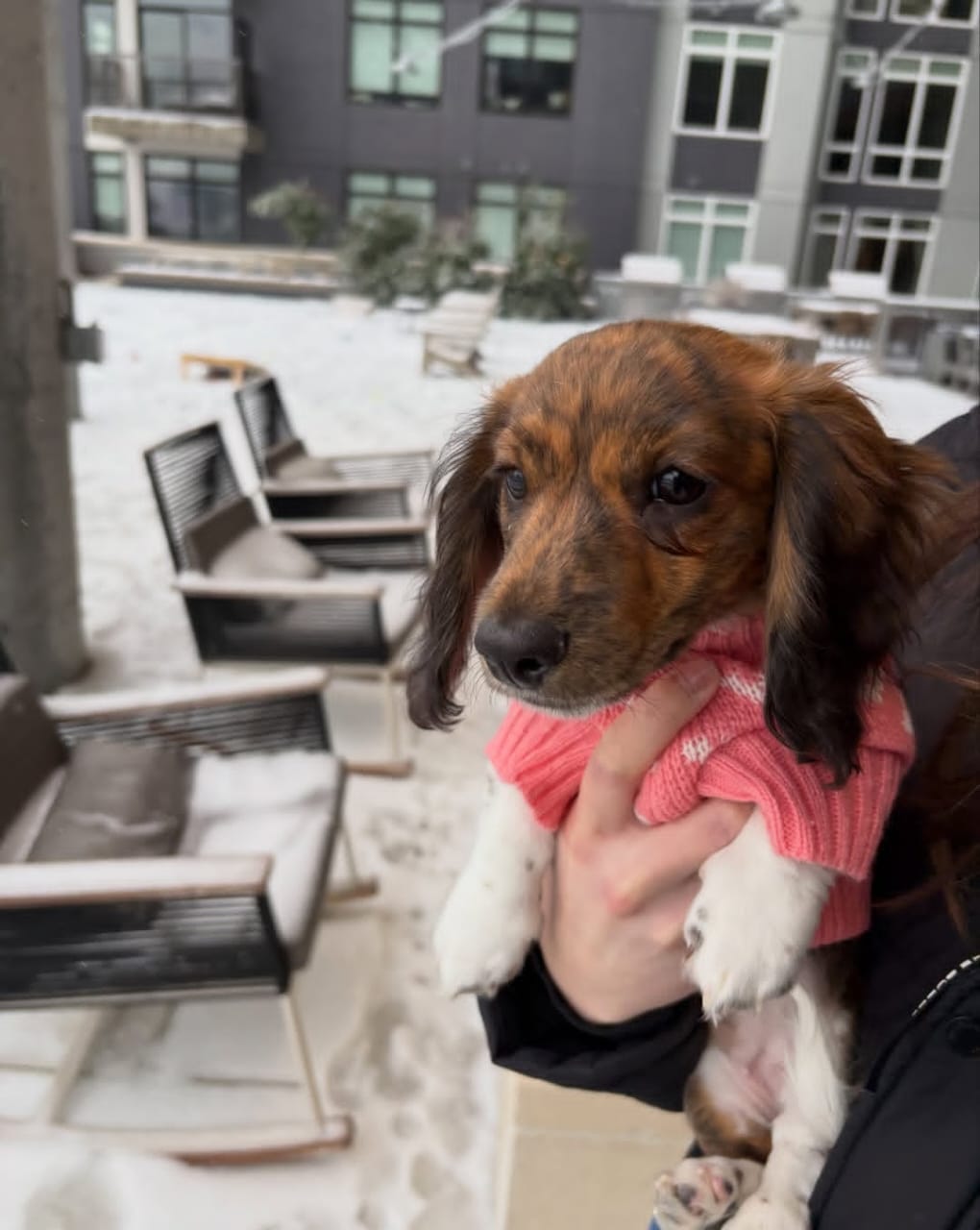 WhatsApp Image 2026-03-20 at 12.39.29 PM (1)