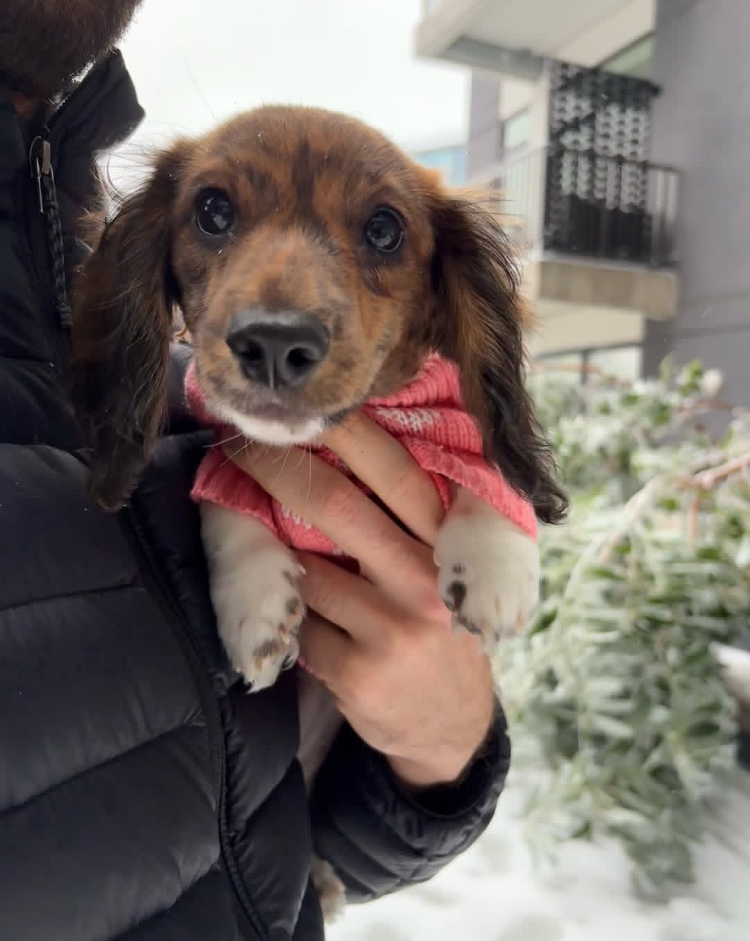 WhatsApp Image 2026-03-20 at 12.39.29 PM