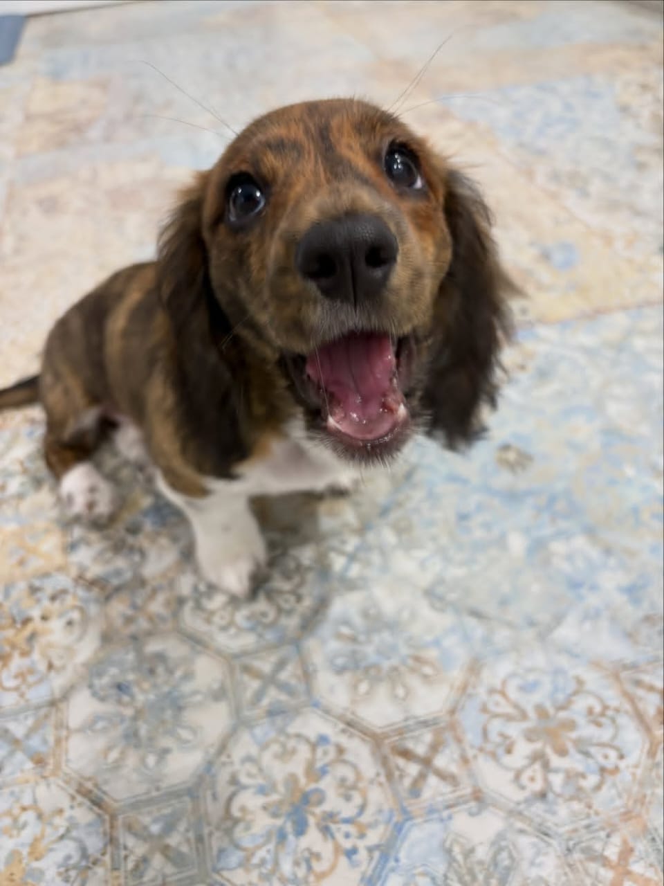 WhatsApp Image 2026-03-20 at 12.39.30 PM (1)