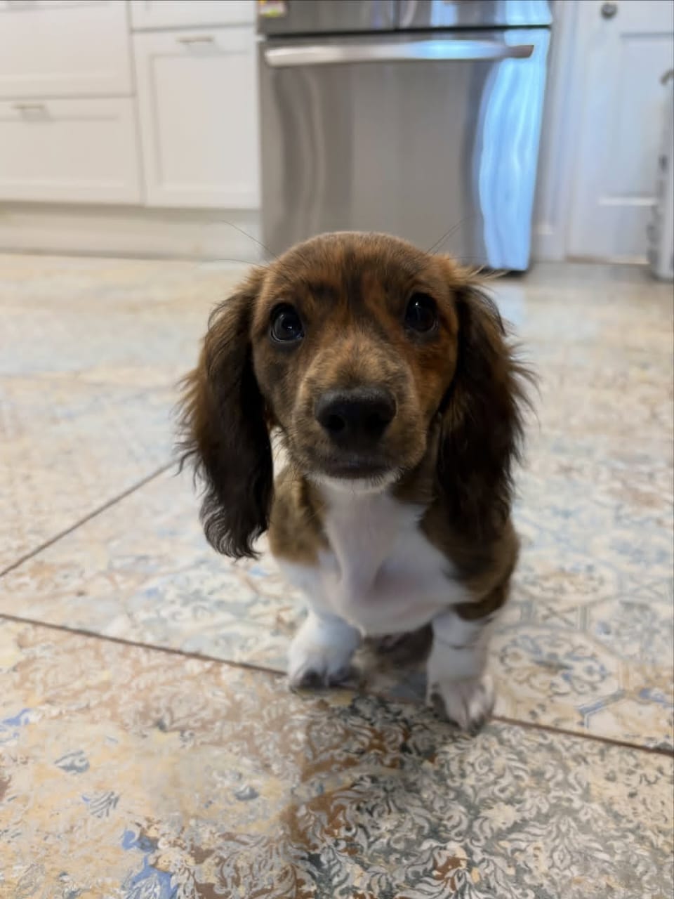 WhatsApp Image 2026-03-20 at 12.39.30 PM