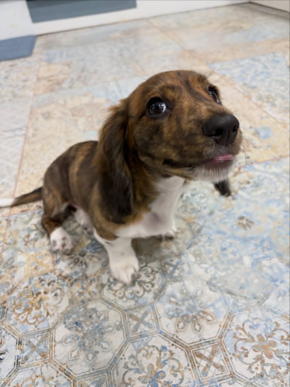 WhatsApp Image 2026-03-20 at 12.39.31 PM (1)