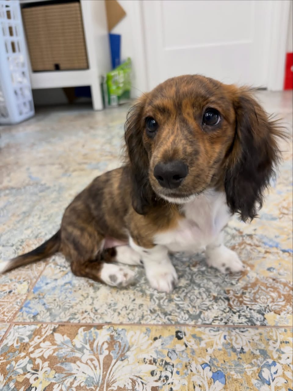 WhatsApp Image 2026-03-20 at 12.39.31 PM