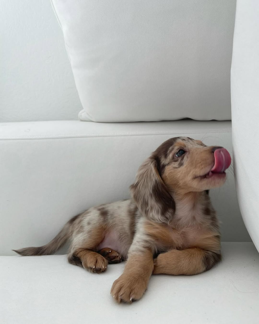 WhatsApp Image 2026-03-20 at 12.39.43 PM (1)