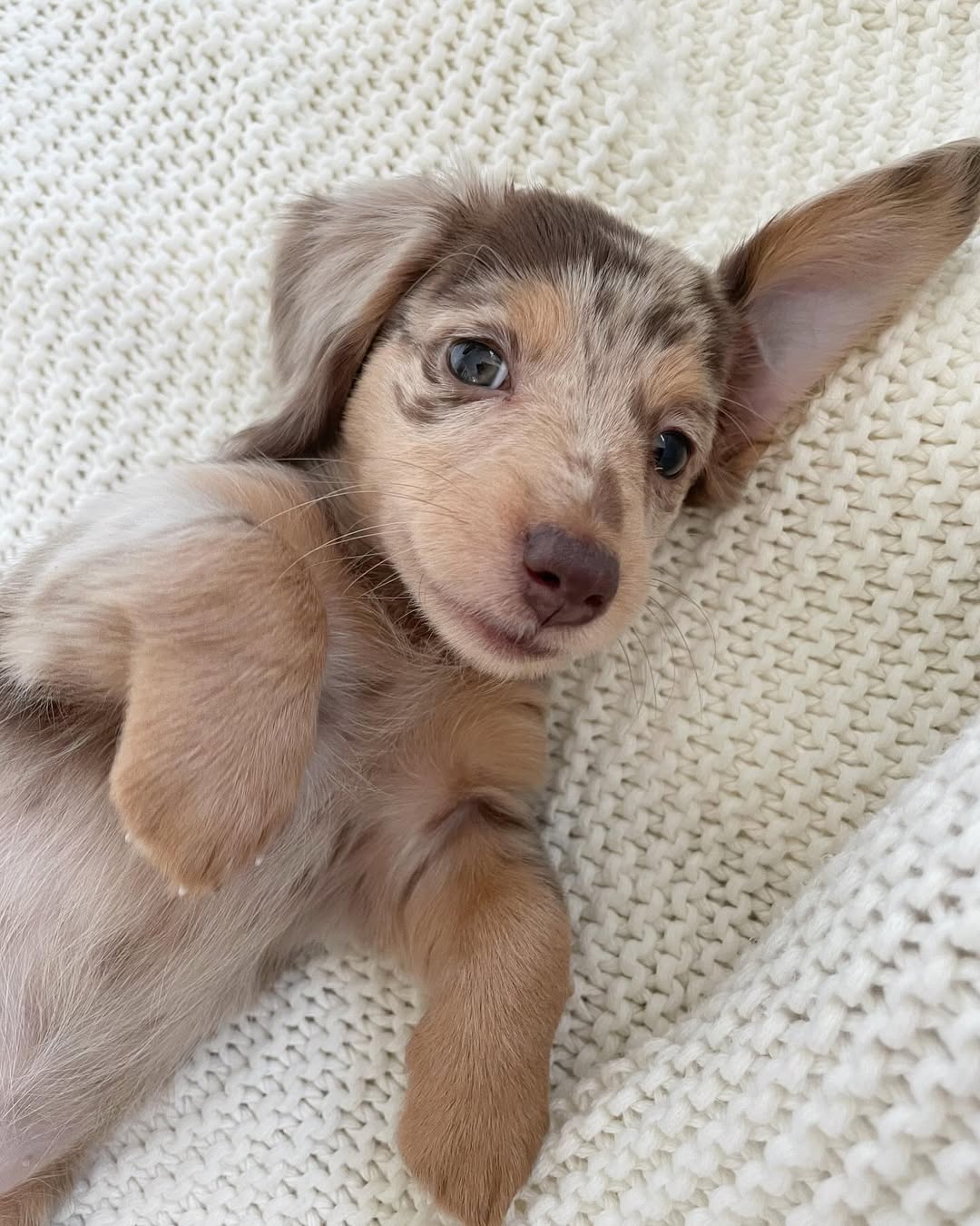 WhatsApp Image 2026-03-20 at 12.39.44 PM (3)