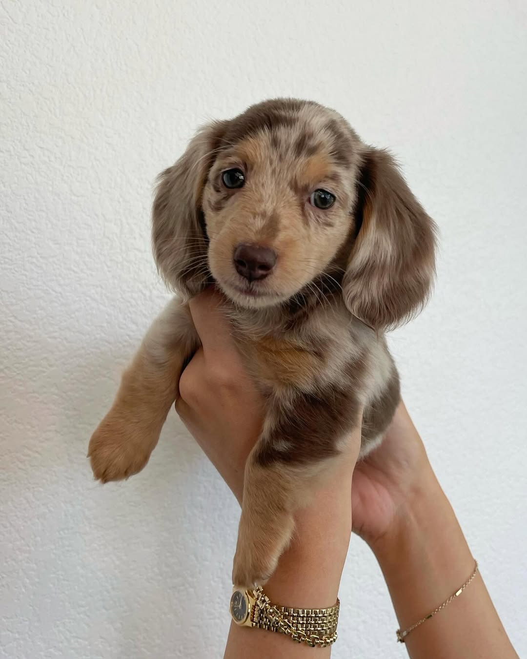 WhatsApp Image 2026-03-20 at 12.39.45 PM (3)