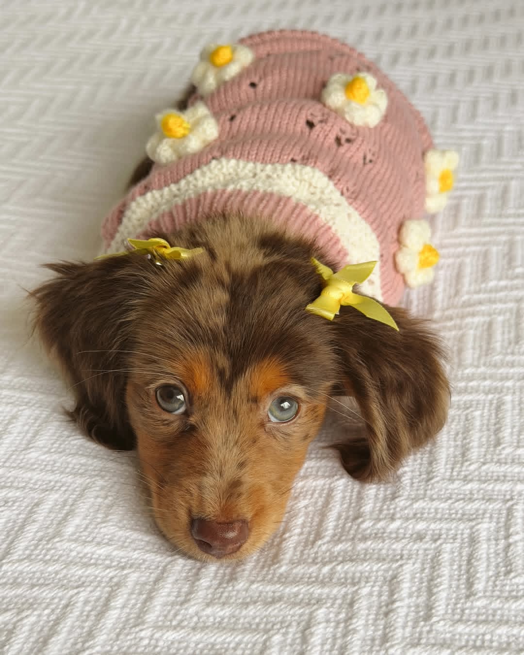 WhatsApp Image 2026-03-20 at 3.50.06 AM