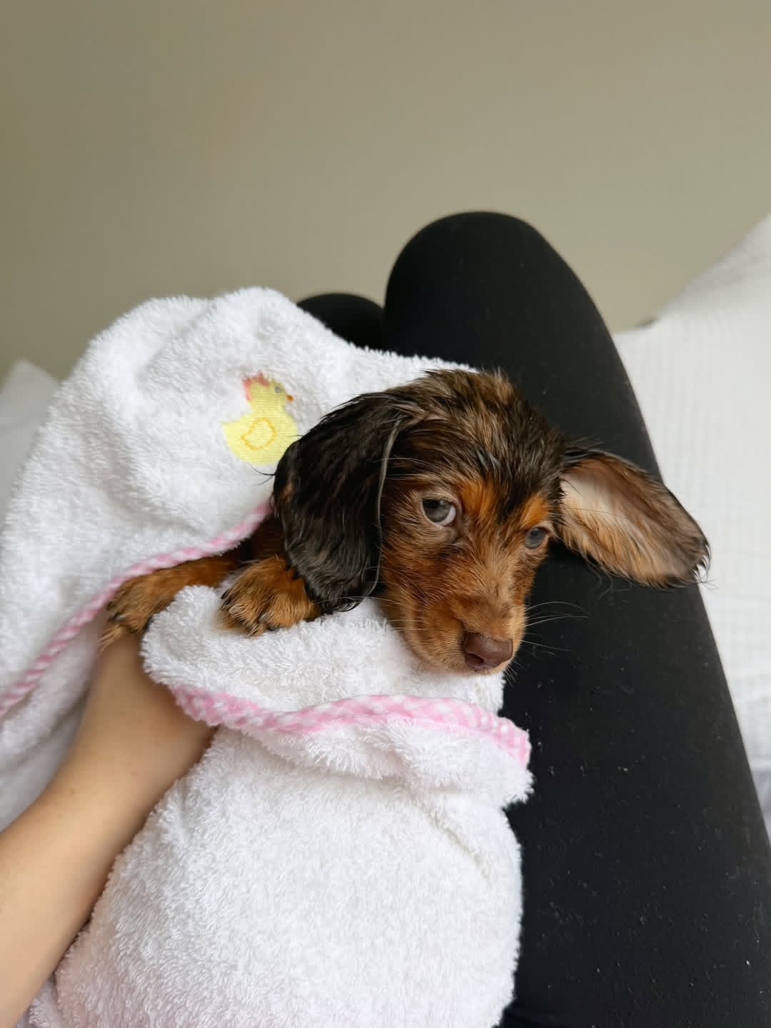 WhatsApp Image 2026-03-20 at 3.50.08 AM (1)