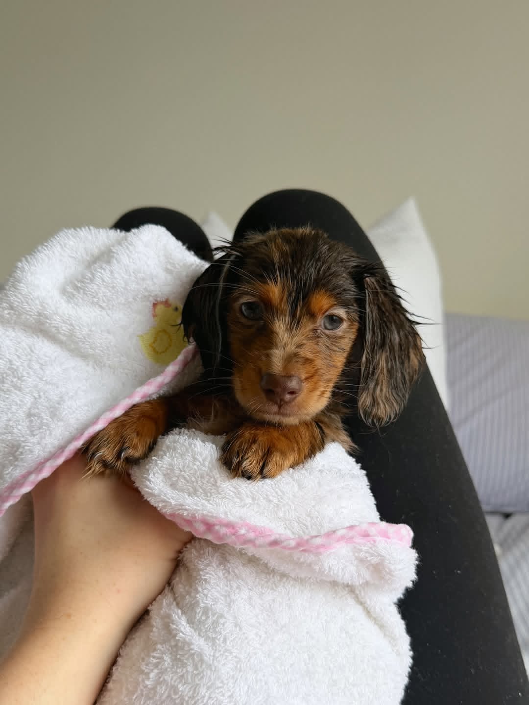 WhatsApp Image 2026-03-20 at 3.50.08 AM (2)