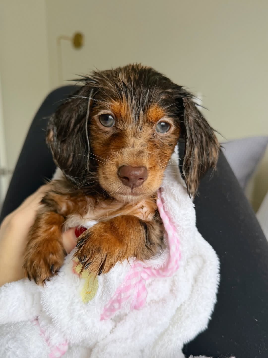 WhatsApp Image 2026-03-20 at 3.50.08 AM