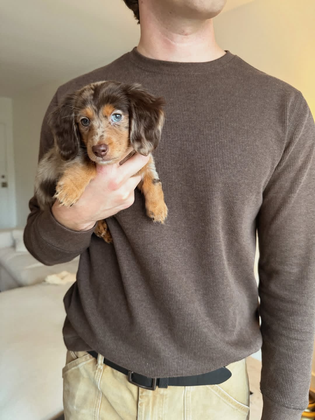 WhatsApp Image 2026-03-20 at 3.50.09 AM (1)