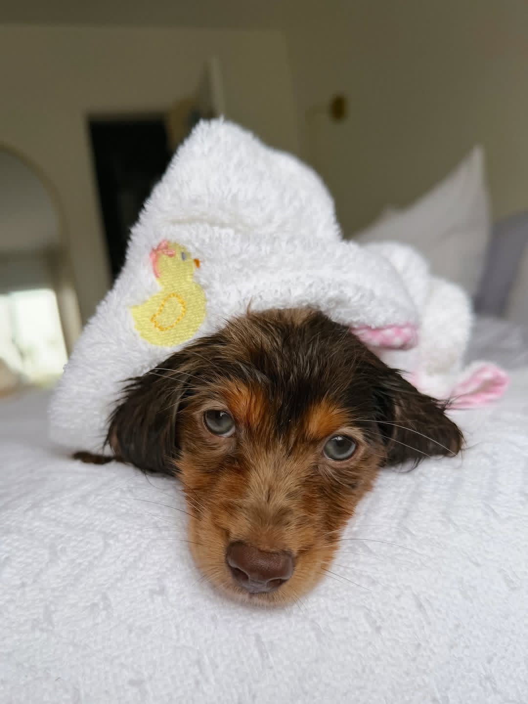 WhatsApp Image 2026-03-20 at 3.50.09 AM