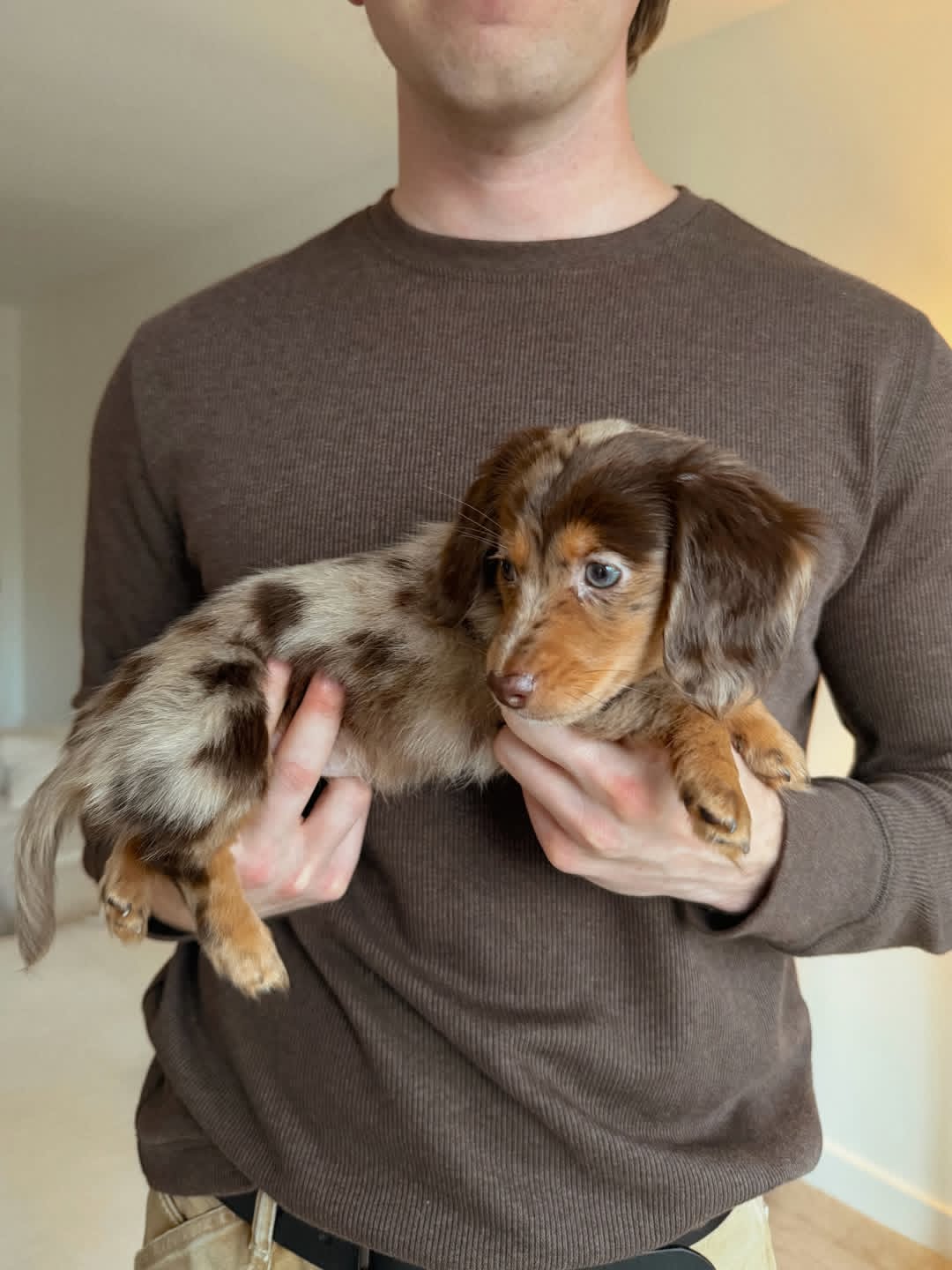 WhatsApp Image 2026-03-20 at 3.50.10 AM