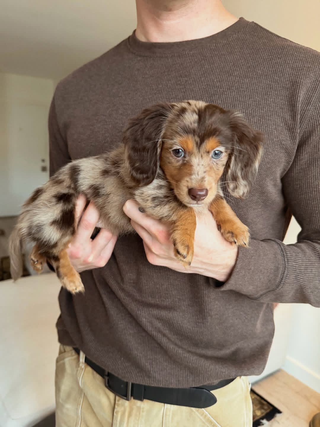 WhatsApp Image 2026-03-20 at 3.50.11 AM