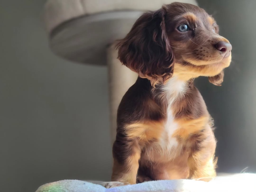 WhatsApp Image 2026-03-20 at 3.50.21 AM