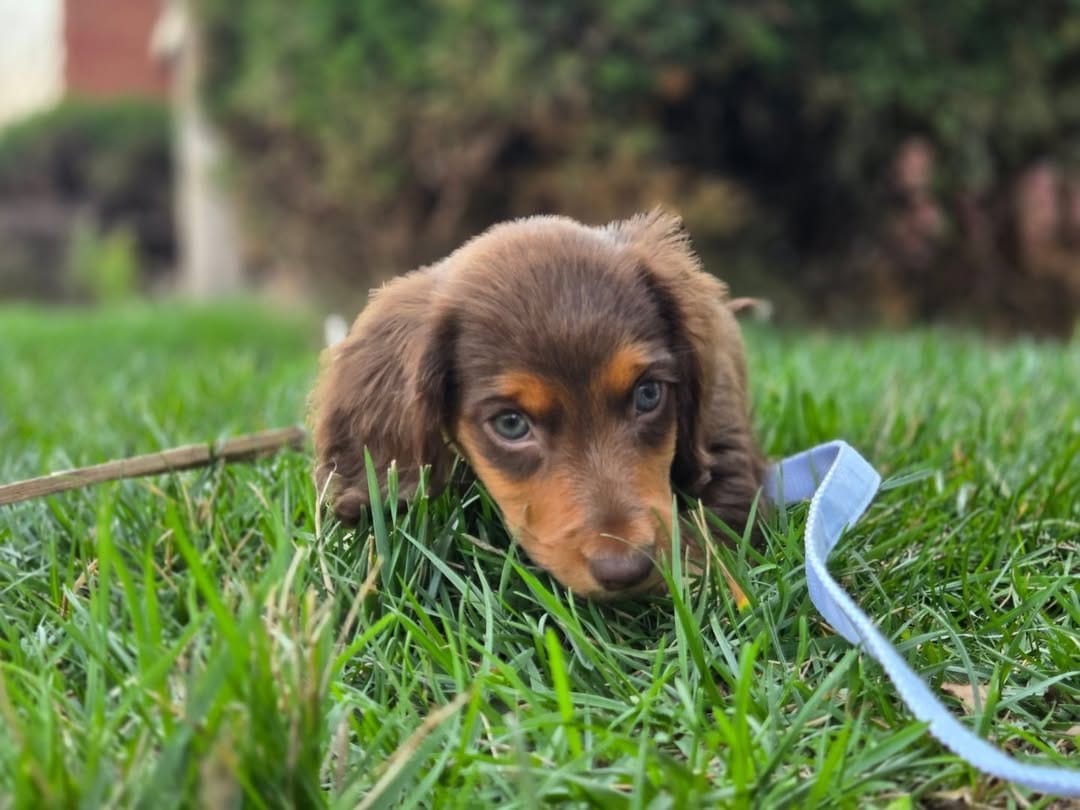 WhatsApp Image 2026-03-20 at 3.50.23 AM