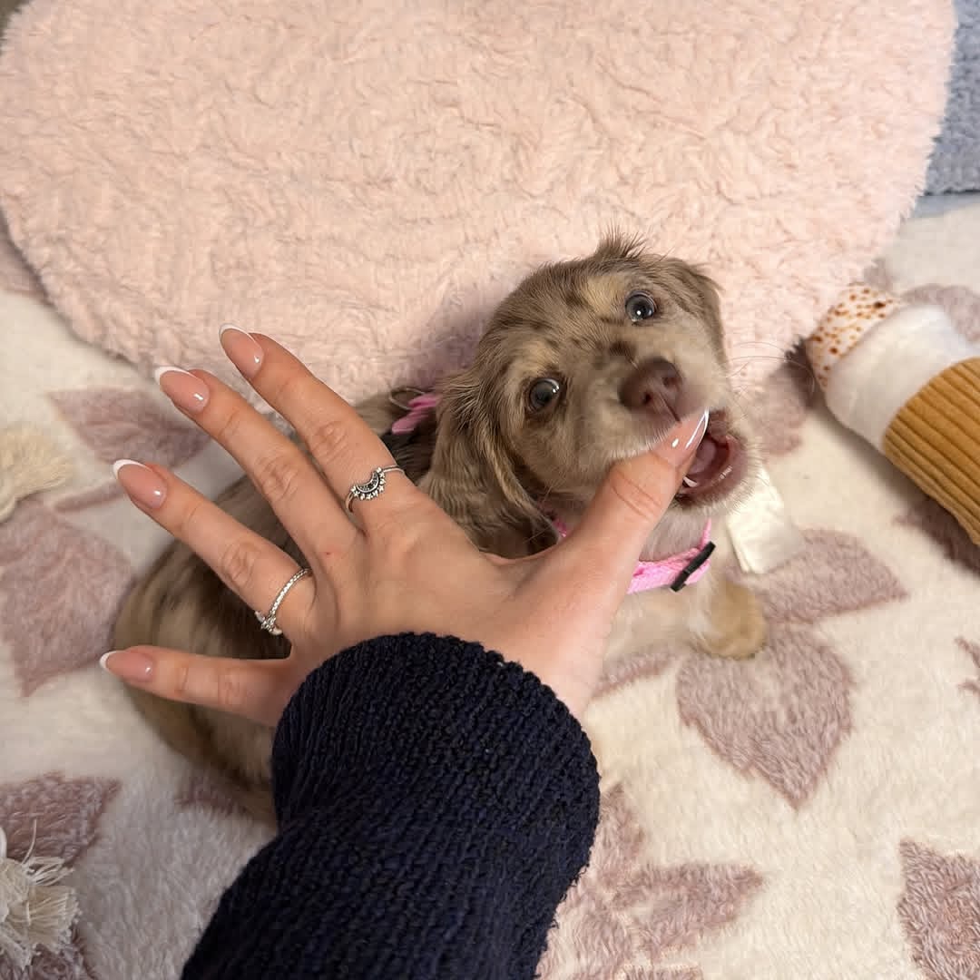 WhatsApp Image 2026-03-20 at 3.50.45 AM (1)