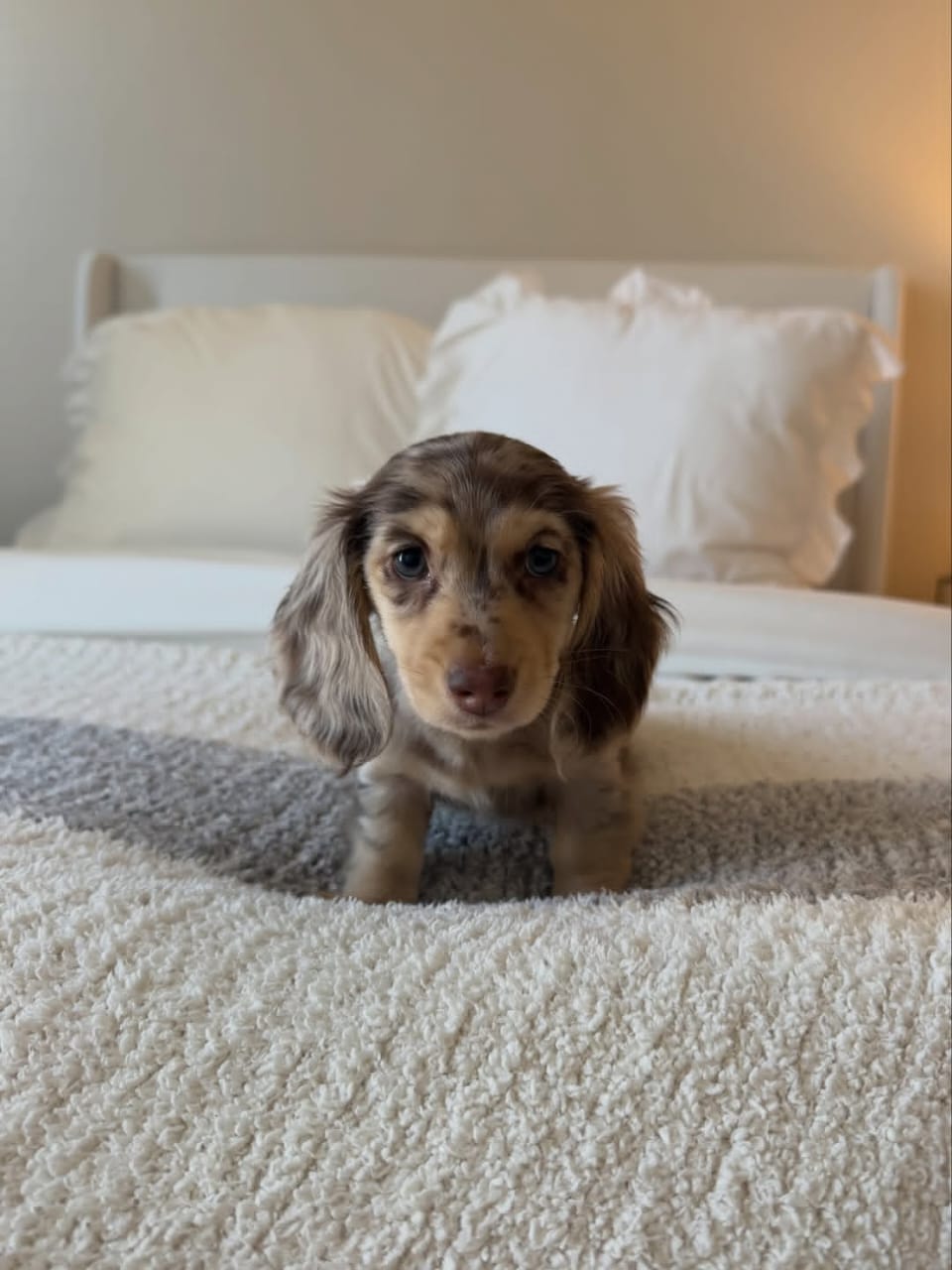 WhatsApp Image 2026-03-20 at 3.50.58 AM