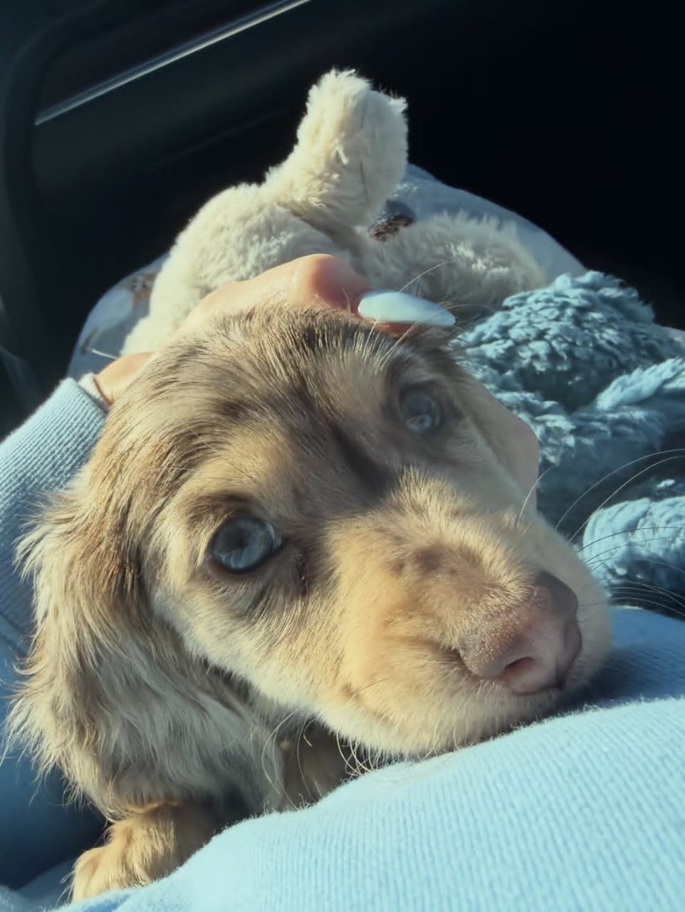 WhatsApp Image 2026-03-20 at 3.51.00 AM (1)