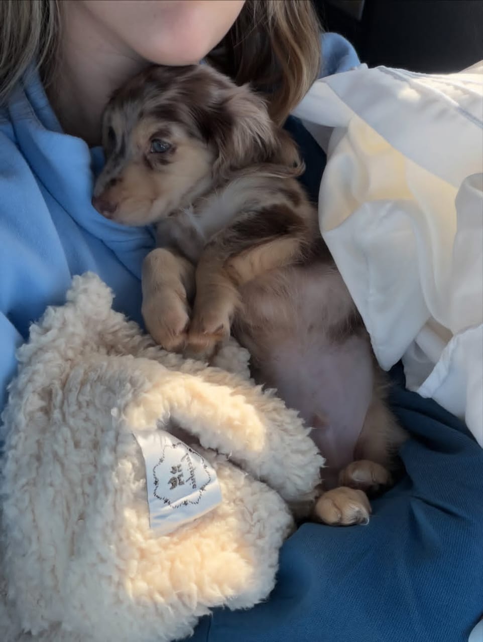 WhatsApp Image 2026-03-20 at 3.51.00 AM (2)