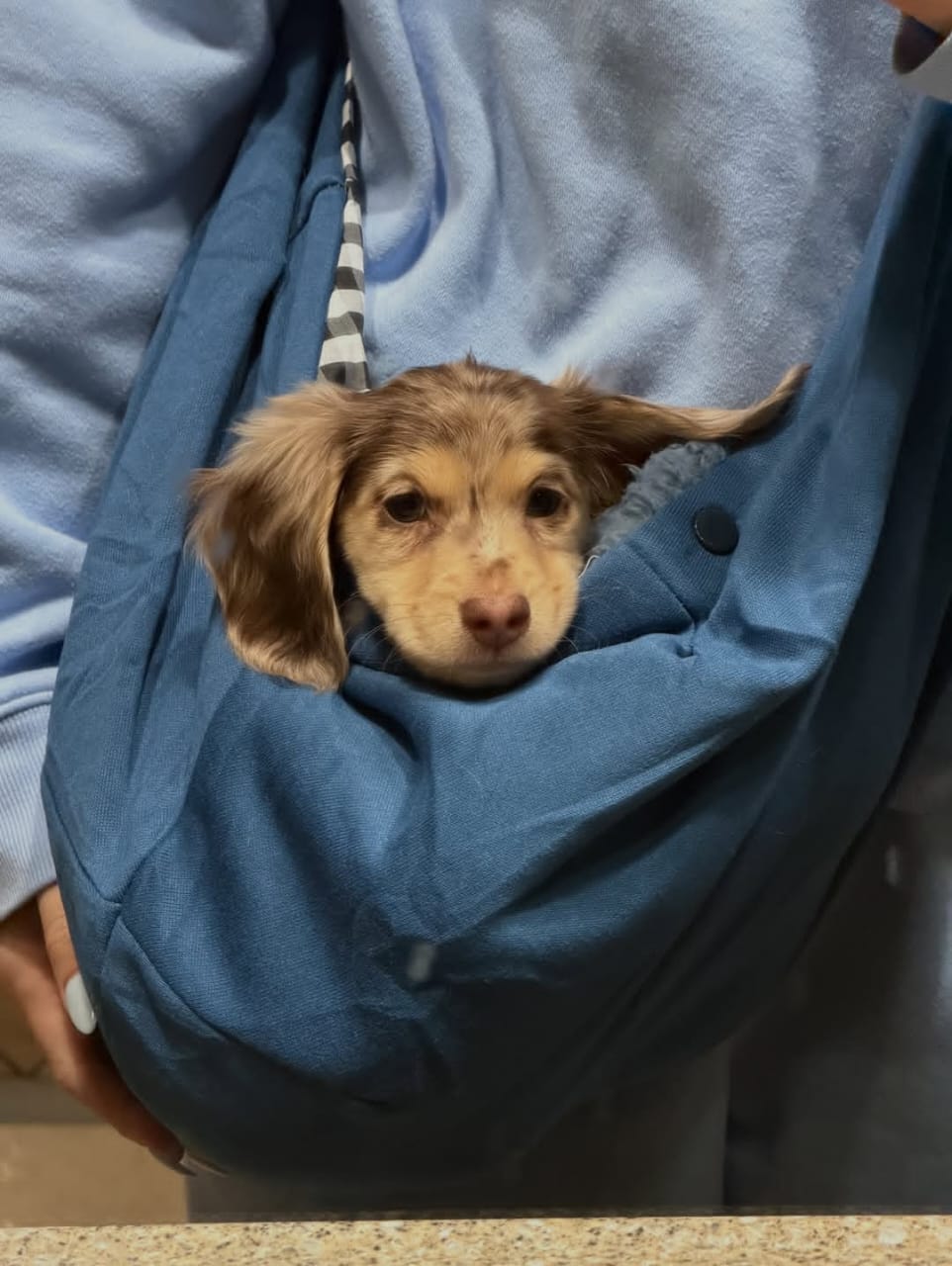 WhatsApp Image 2026-03-20 at 3.51.01 AM