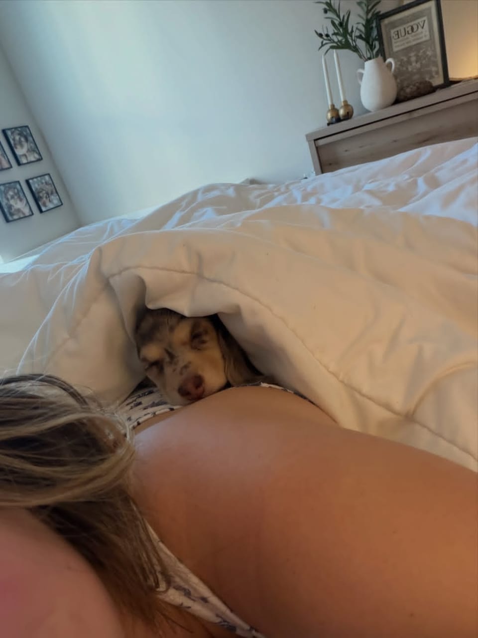 WhatsApp Image 2026-03-20 at 3.51.02 AM (1)