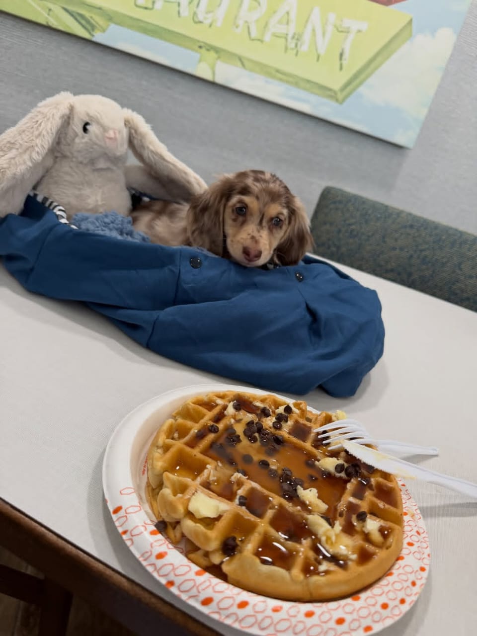 WhatsApp Image 2026-03-20 at 3.51.02 AM