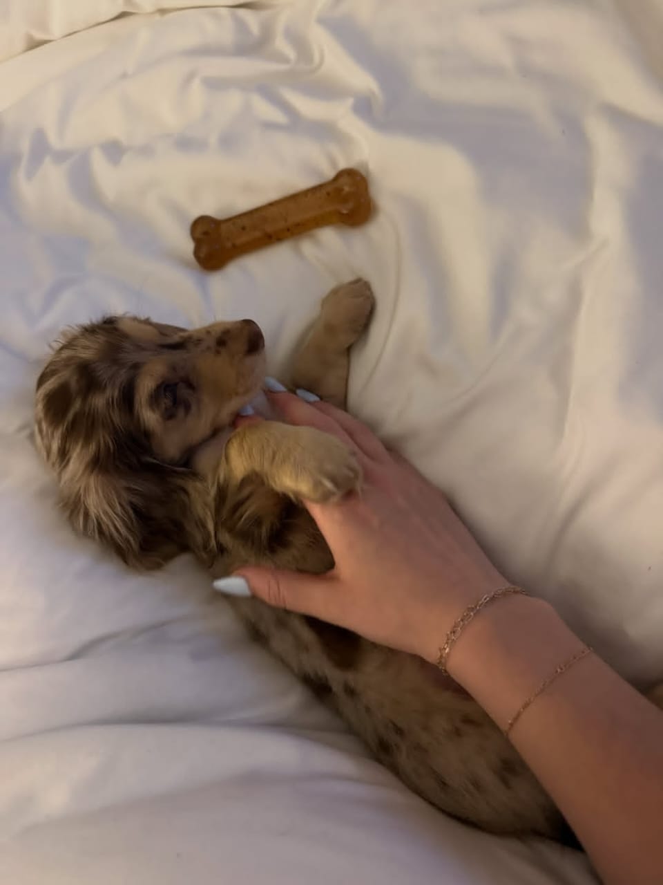 WhatsApp Image 2026-03-20 at 3.51.03 AM