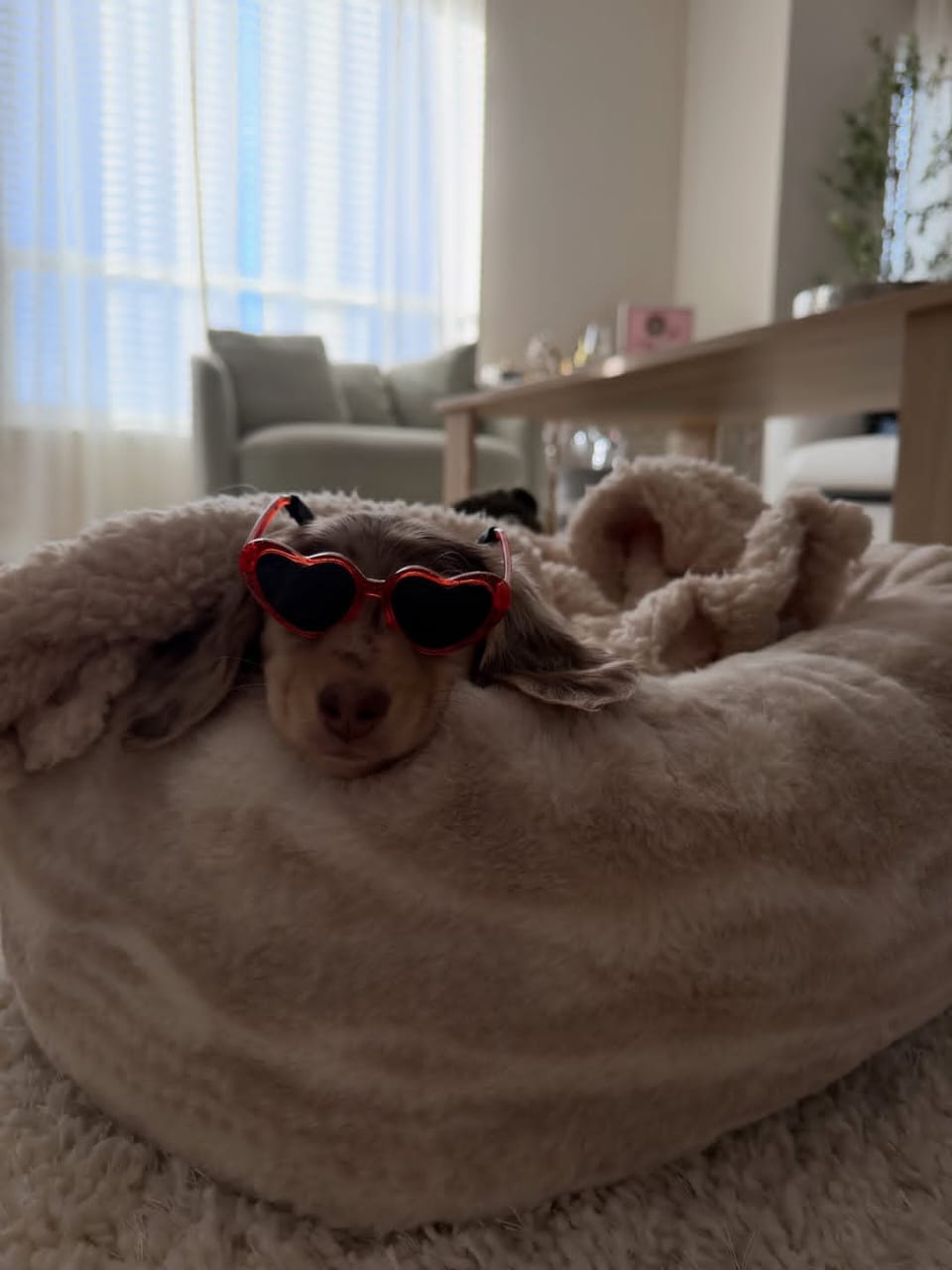 WhatsApp Image 2026-03-20 at 3.51.04 AM (1)