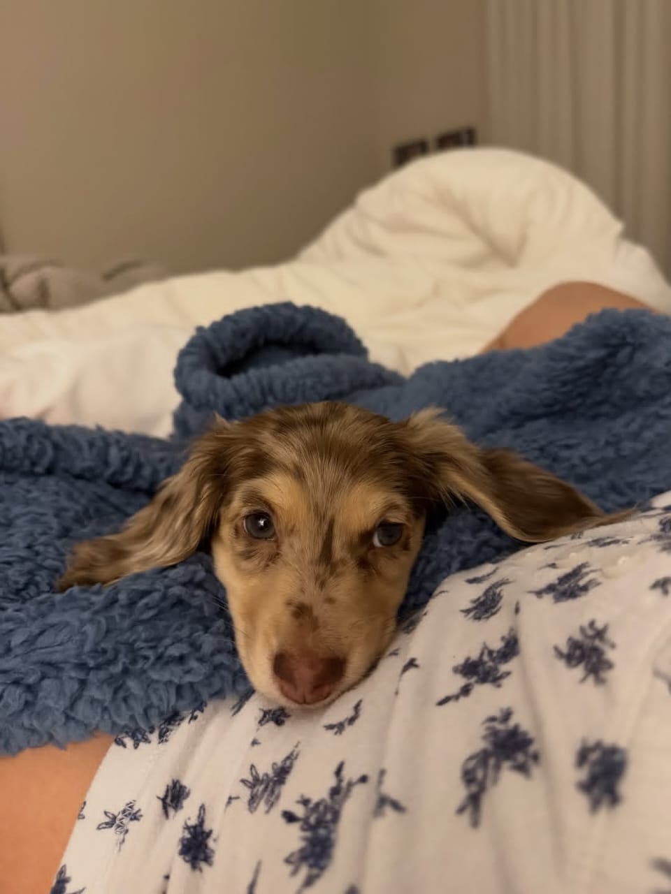 WhatsApp Image 2026-03-20 at 3.51.05 AM (1)