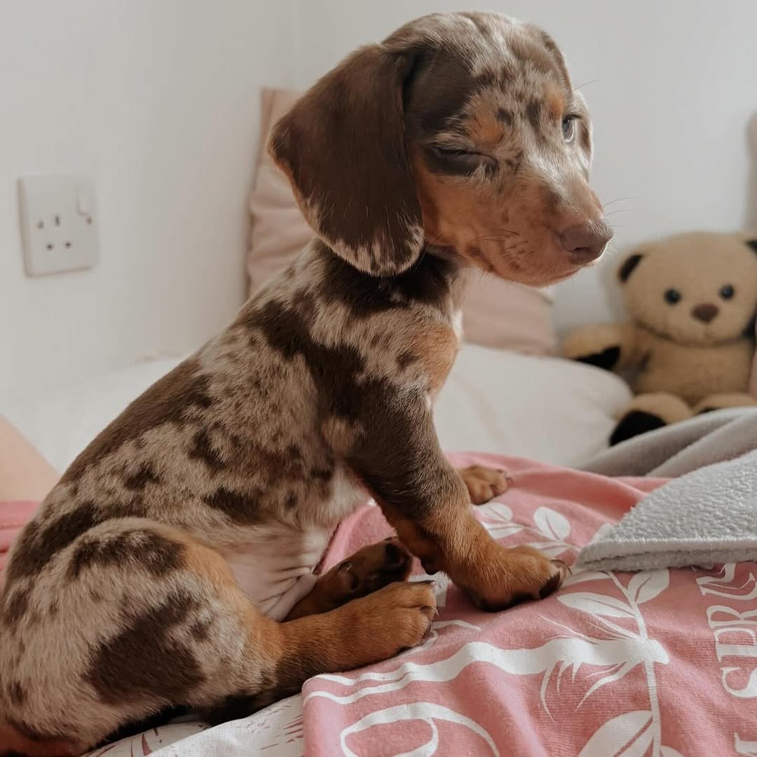 WhatsApp Image 2026-03-20 at 3.55.06 AM