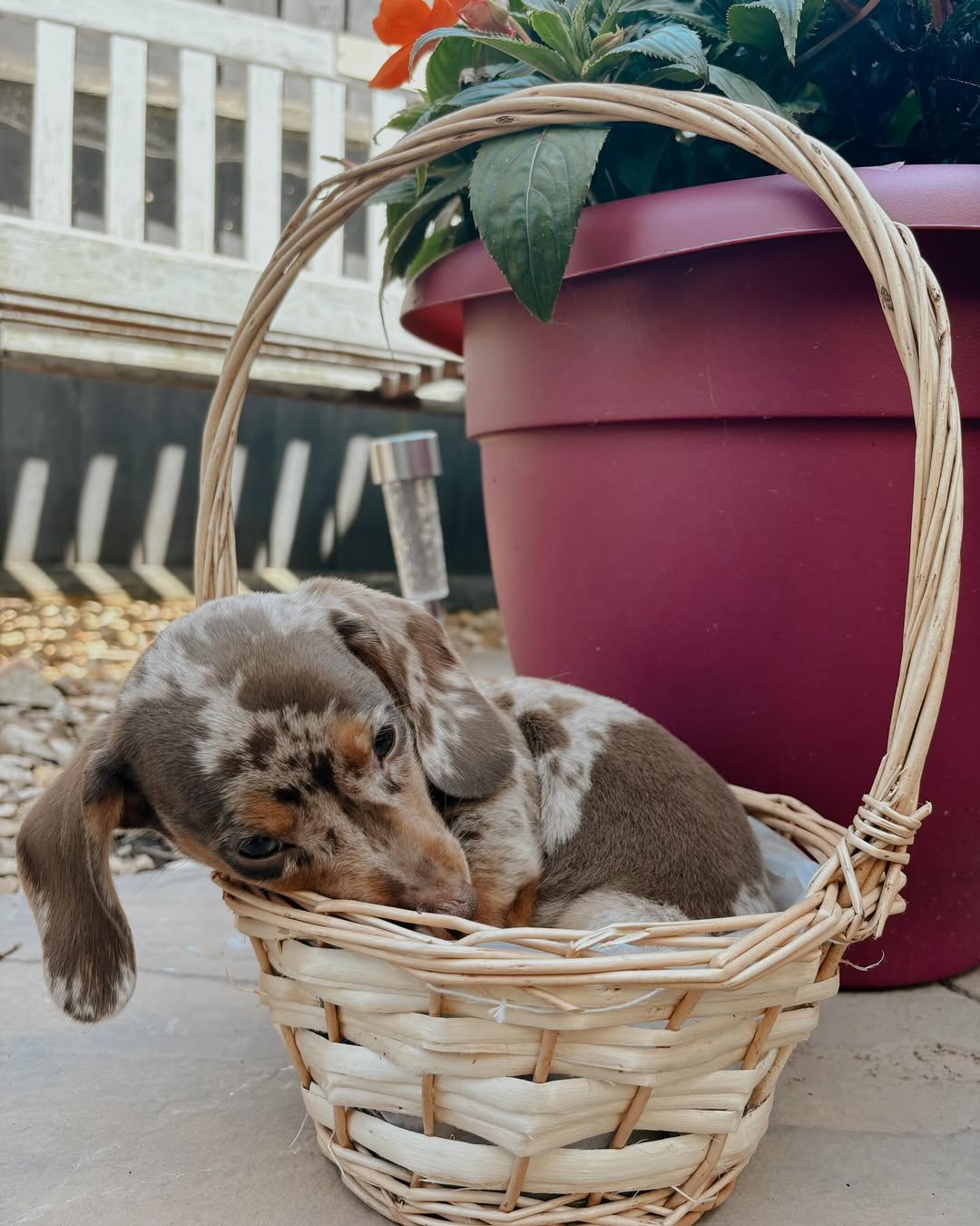 WhatsApp Image 2026-03-20 at 3.55.07 AM