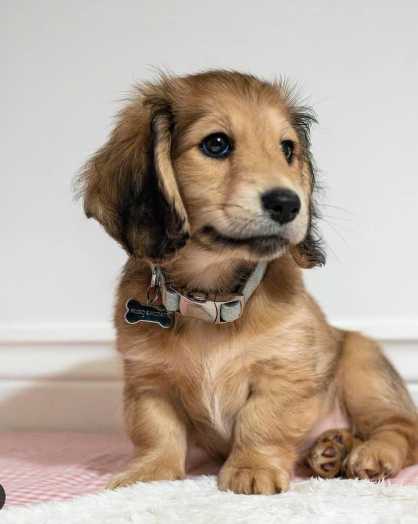 WhatsApp Image 2026-03-20 at 3.55.48 AM